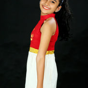 Maroon Elegance Pattu